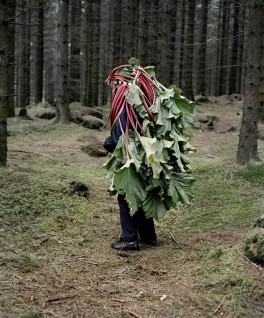 Eyes as Big as Plates # Astrid (2011) av Karoline Hjorth & Riitta Ikonen 